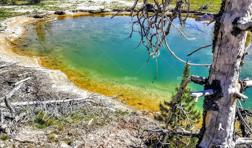 true color paint pots