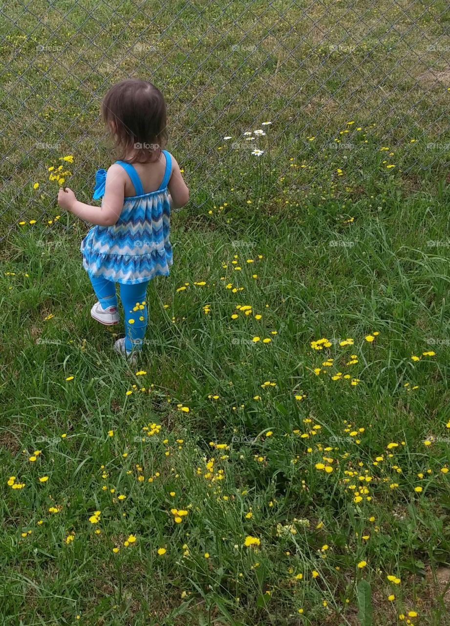 Grass, Summer, Hayfield, Child, Flower