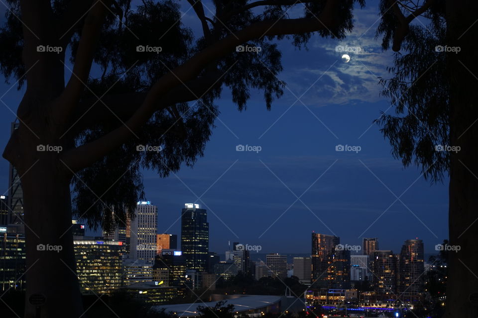 The night view of the central business district from Kings Park, Perth, Western Australia after the time of the sunset. In the dark sky, the moon can be seen between two trees.