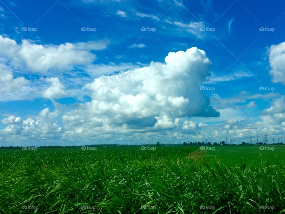 Cloud over farmer's field