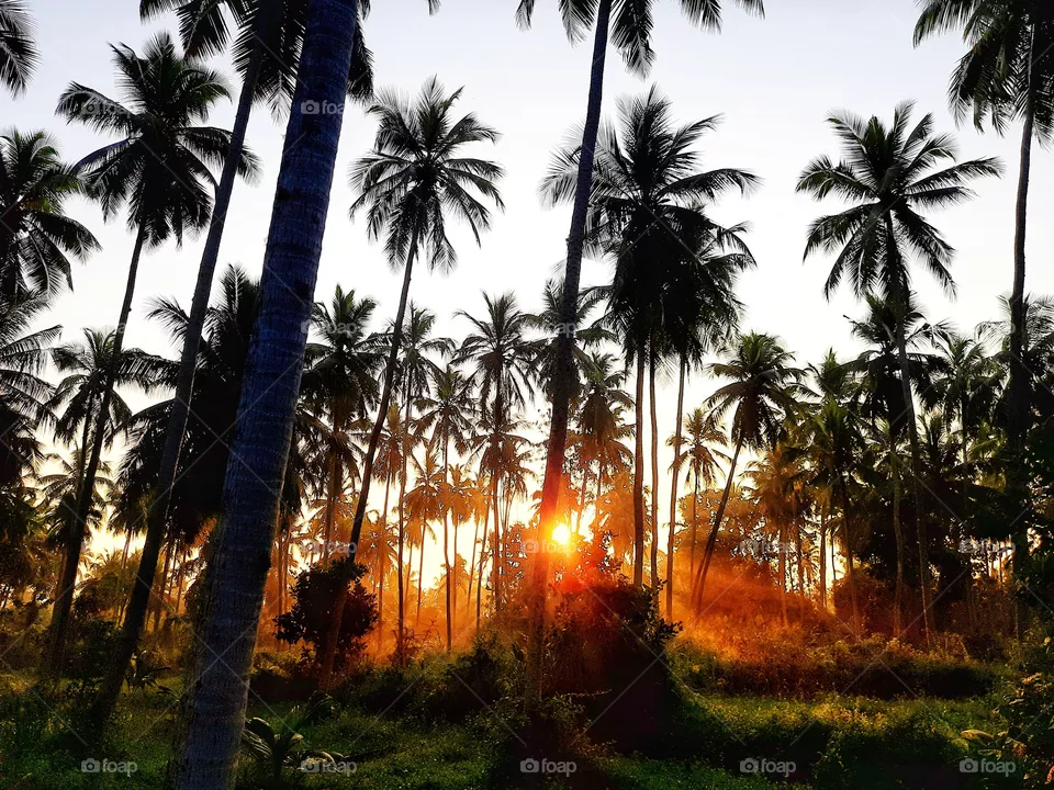Beautiful Nature
