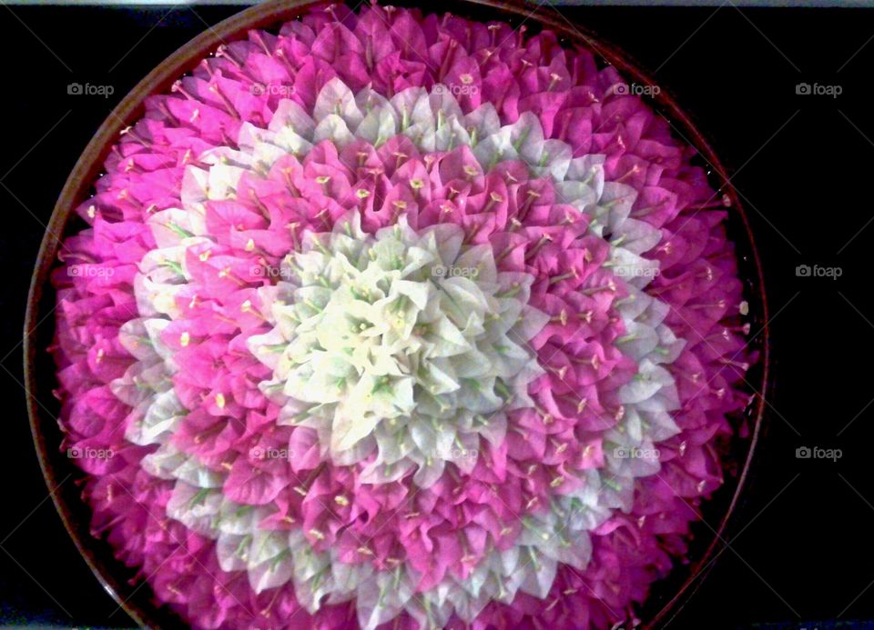 High angle view of flowers decoration