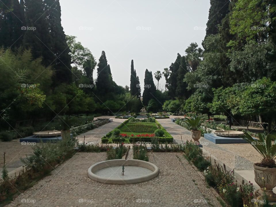 The beautiful garden