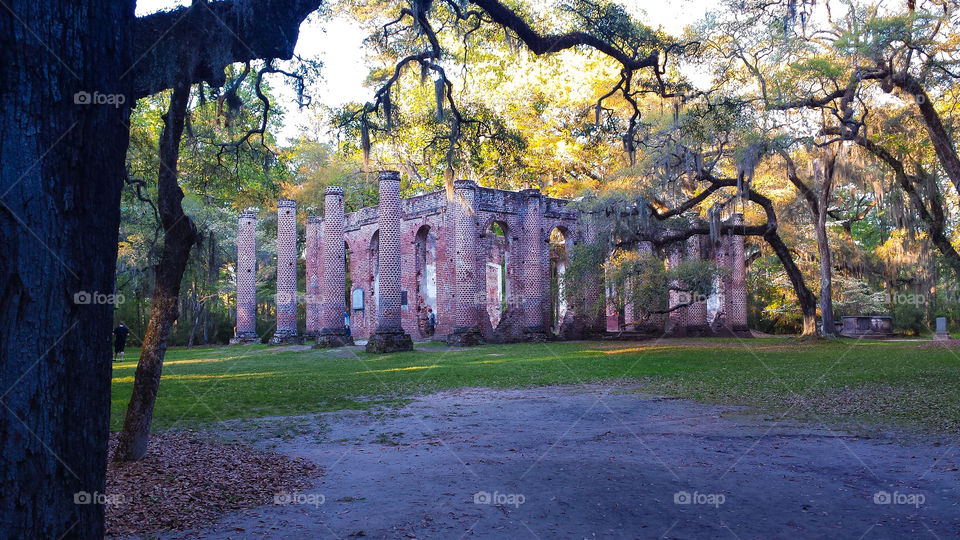 Old Sheldon Church ruins #3. A distant view of the Old Sheldon Church ruins in Yemassee,  South Carolina. 