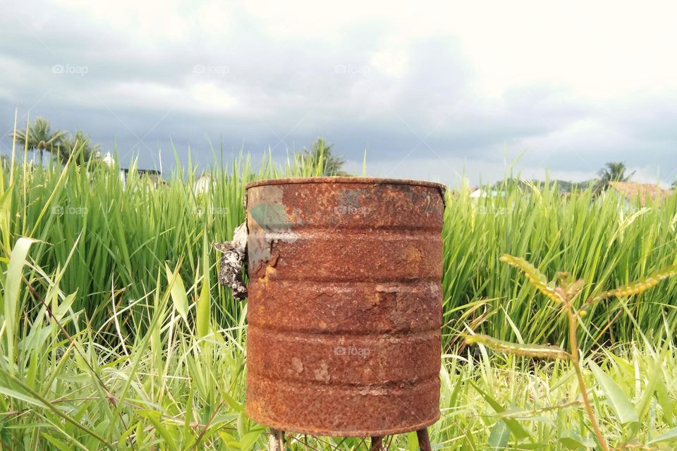 rusty metal can in nature