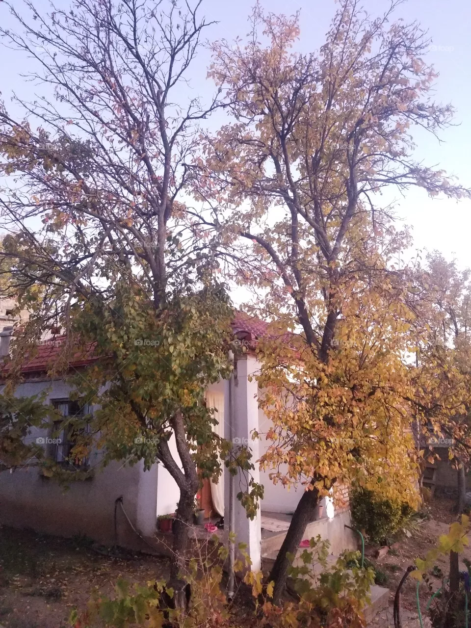 Autumn