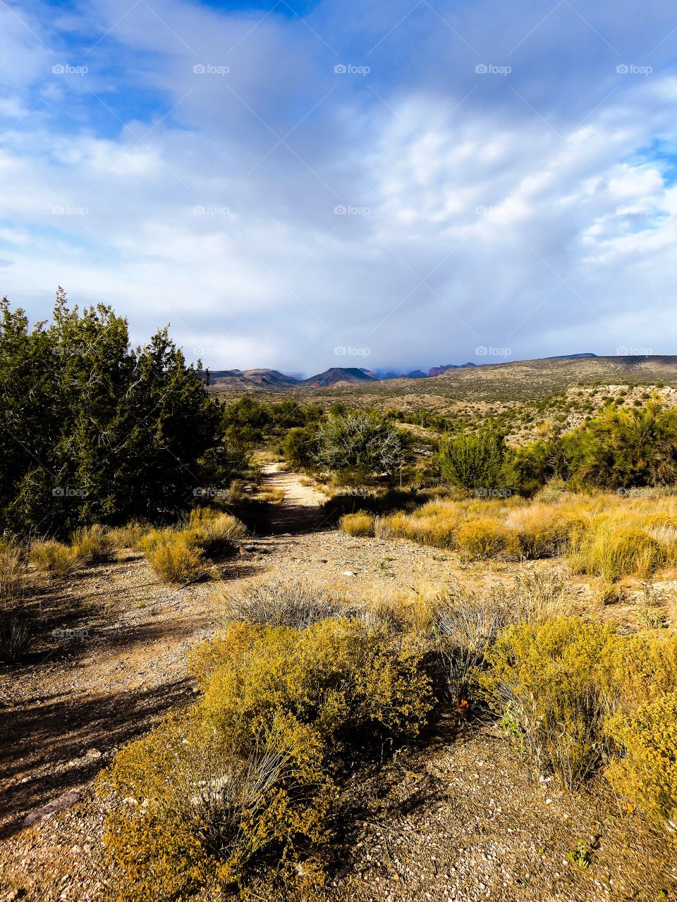 Hiking trail