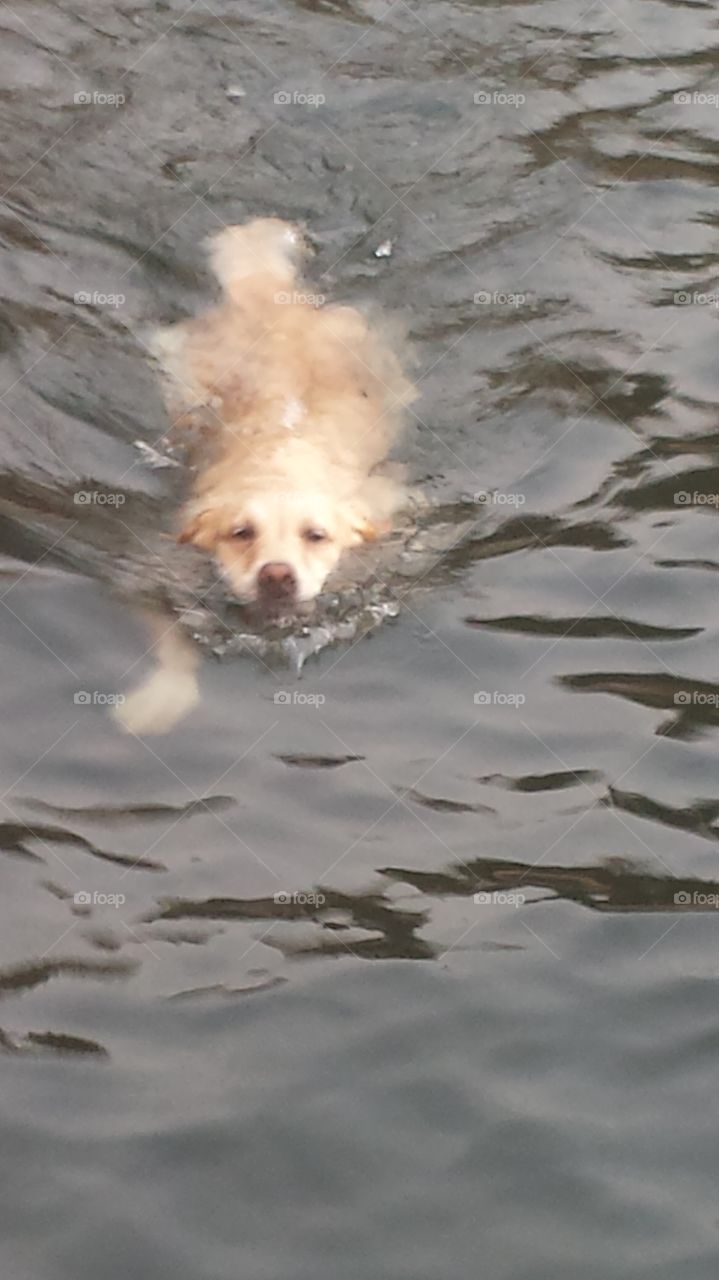 Getting some excersice