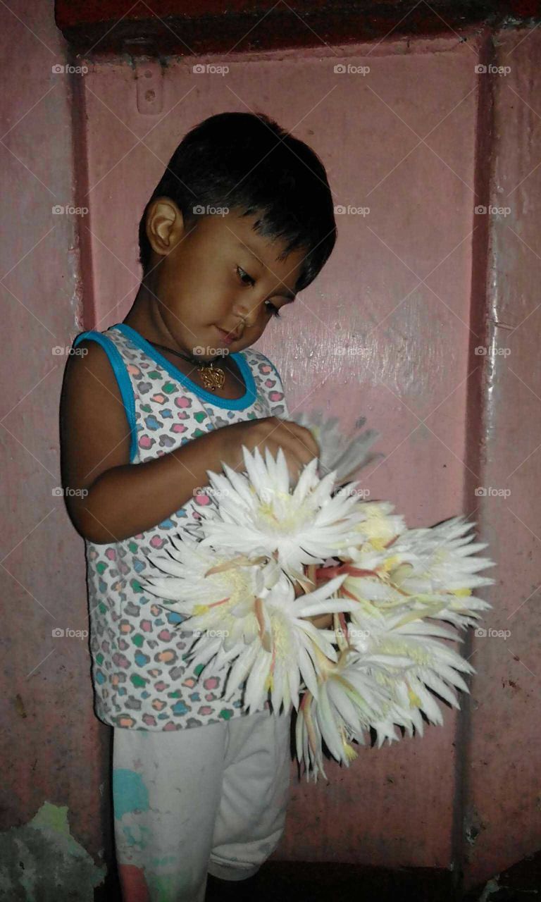 Kadupul Flower & Beautiful Cute Baby..