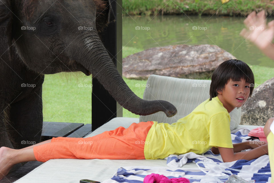 special phuket elephant massage by ntelan3773