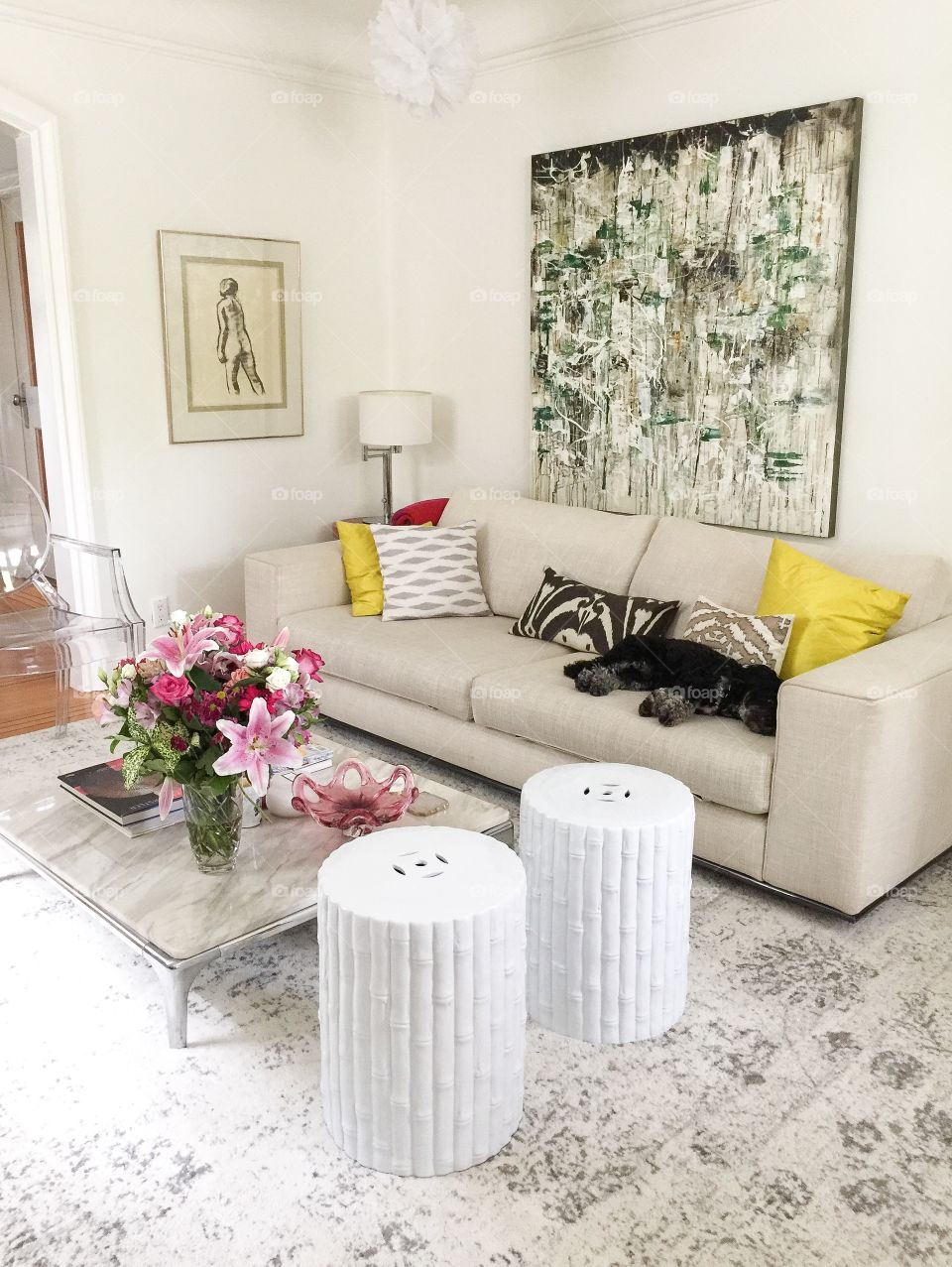 Light and airy living room with dog