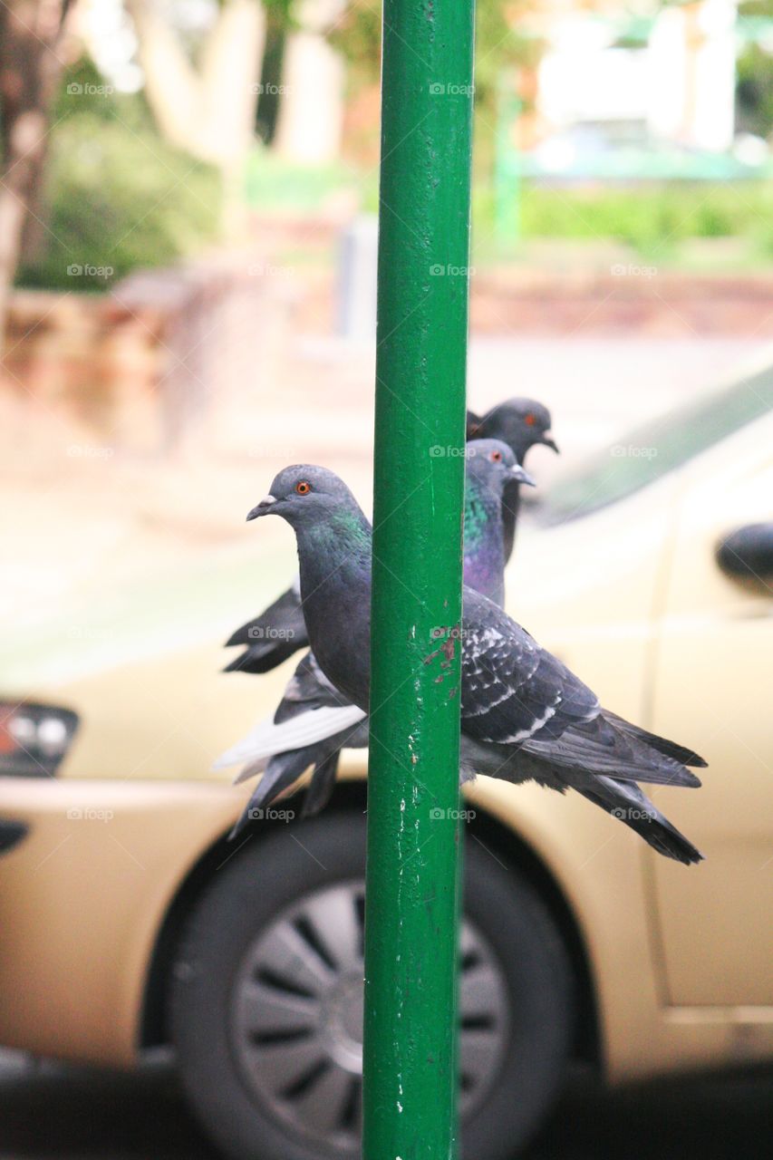 This awkward feeling, when all your pals are looking in the same direction and you're the only one who doesn't!