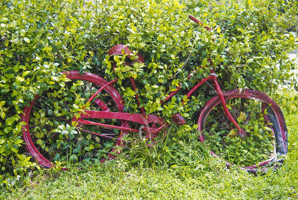 It's been a long winter. saw this and had to.photograph it.