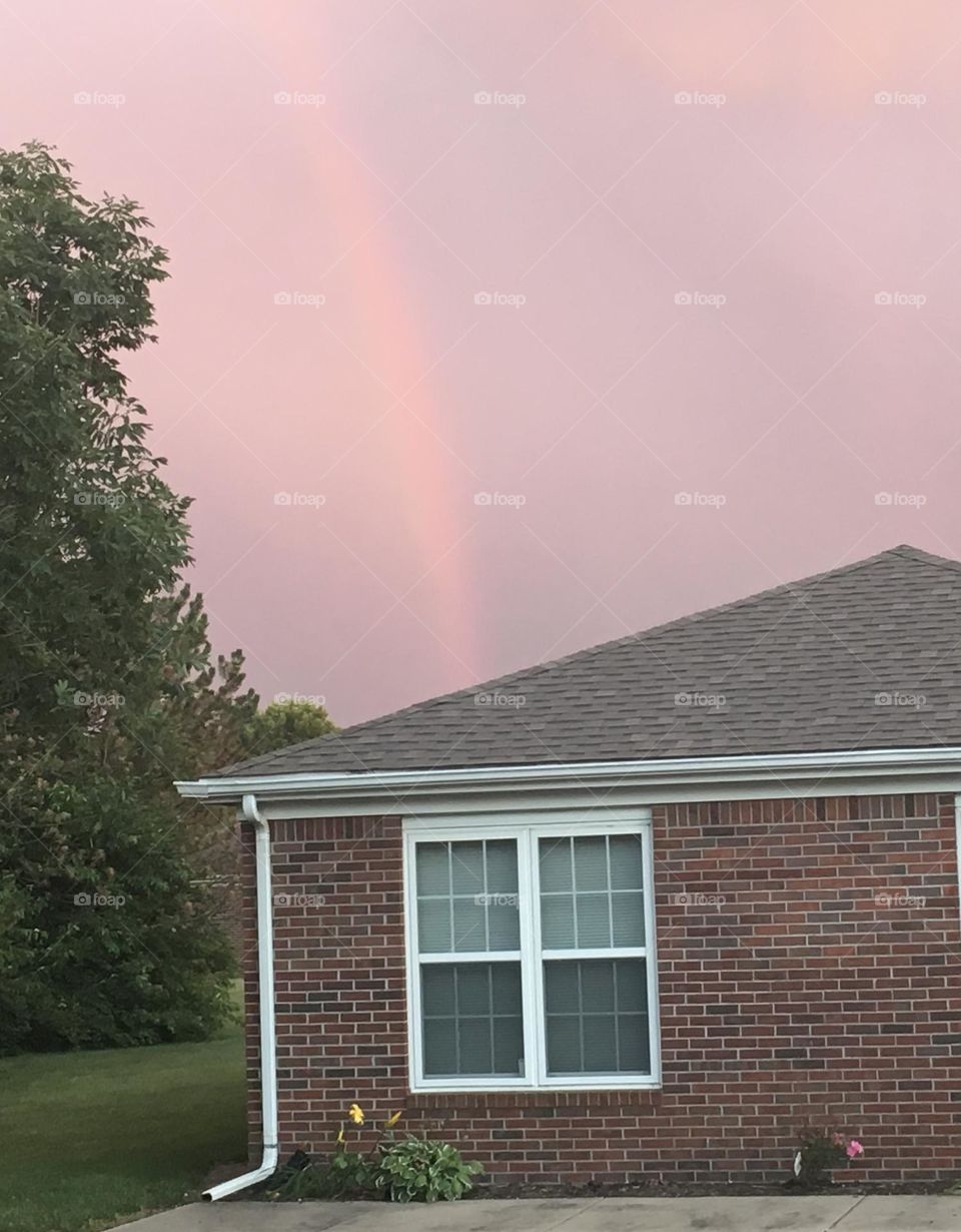 Pale Pink Rainbow 