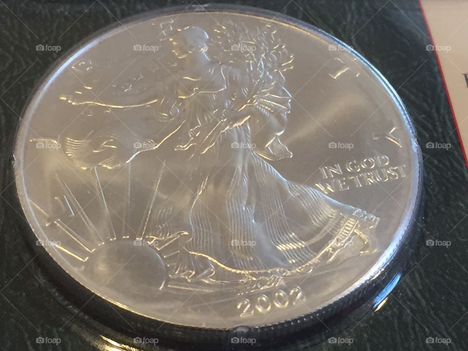 American silver eagle. 