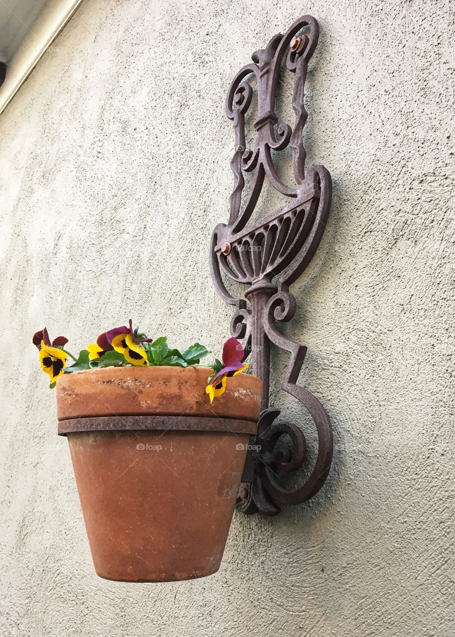 Terra-cotta flower pot on iron hanger