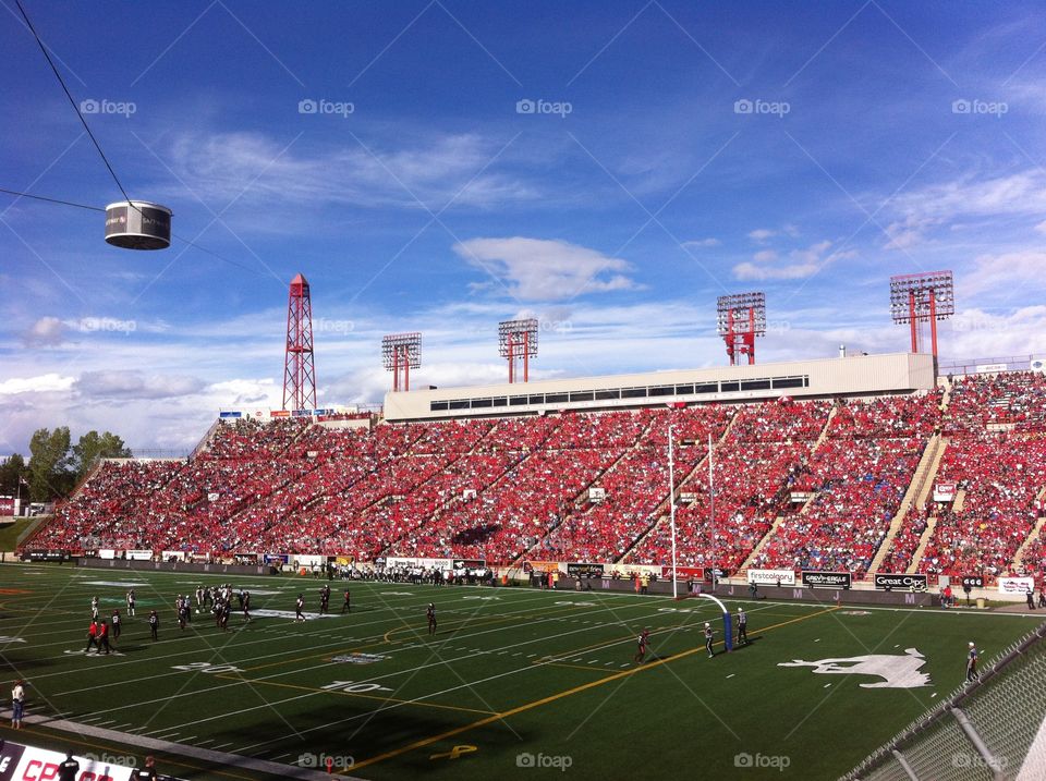 Stampeders!!. Stamps game in YYC