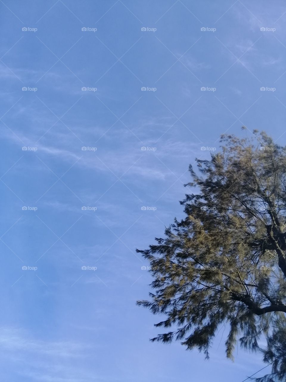 The Sky view I saw today❣️