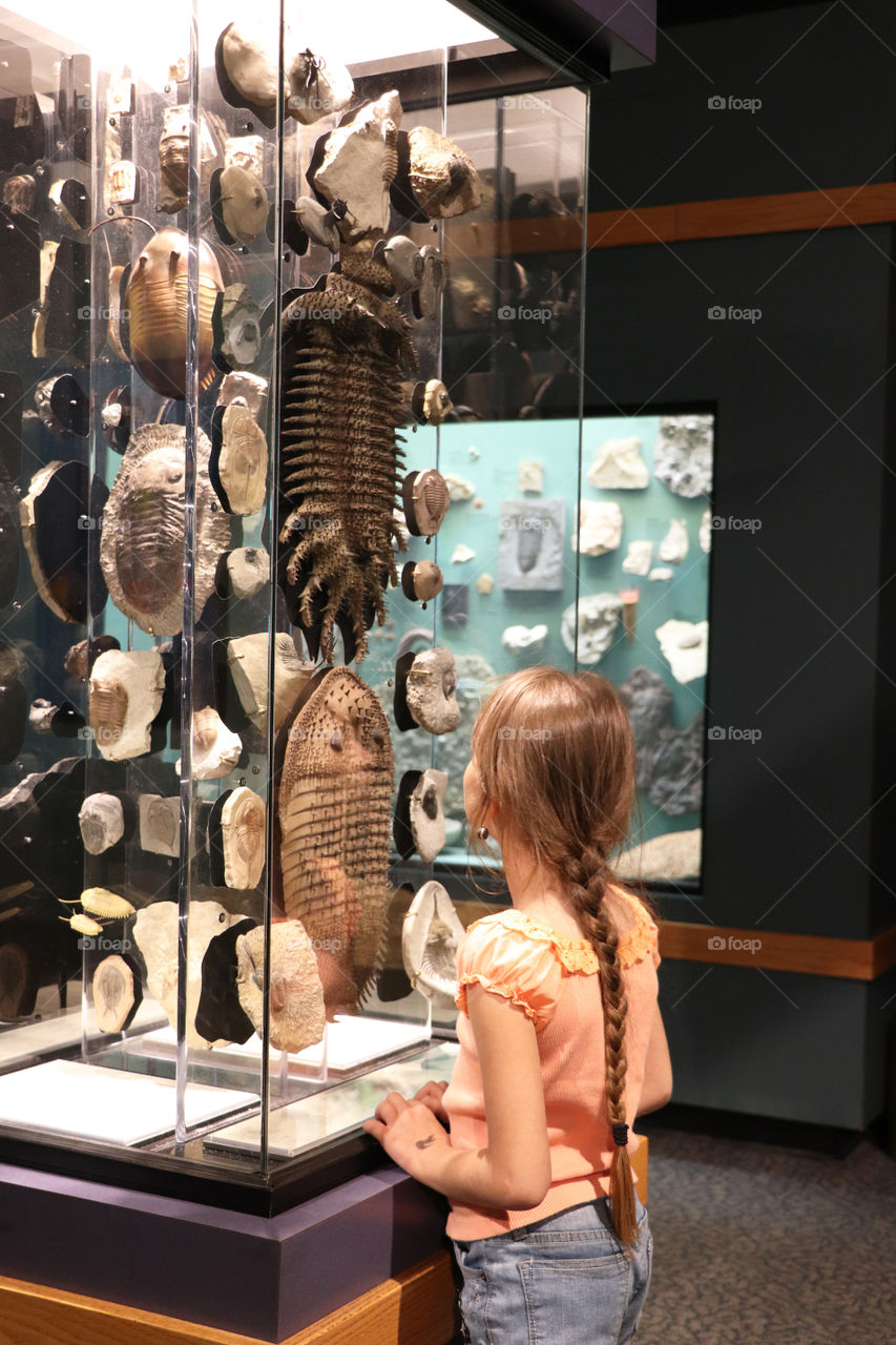 Little girl looking at fossils at the museum