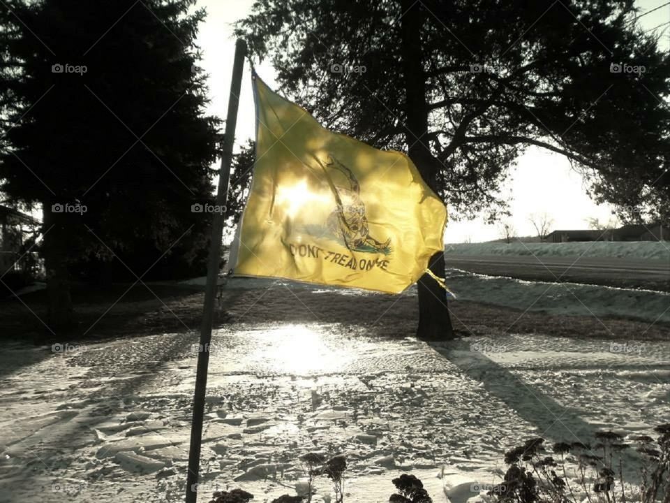 Don't Tread On Me flag blowing in the wind.