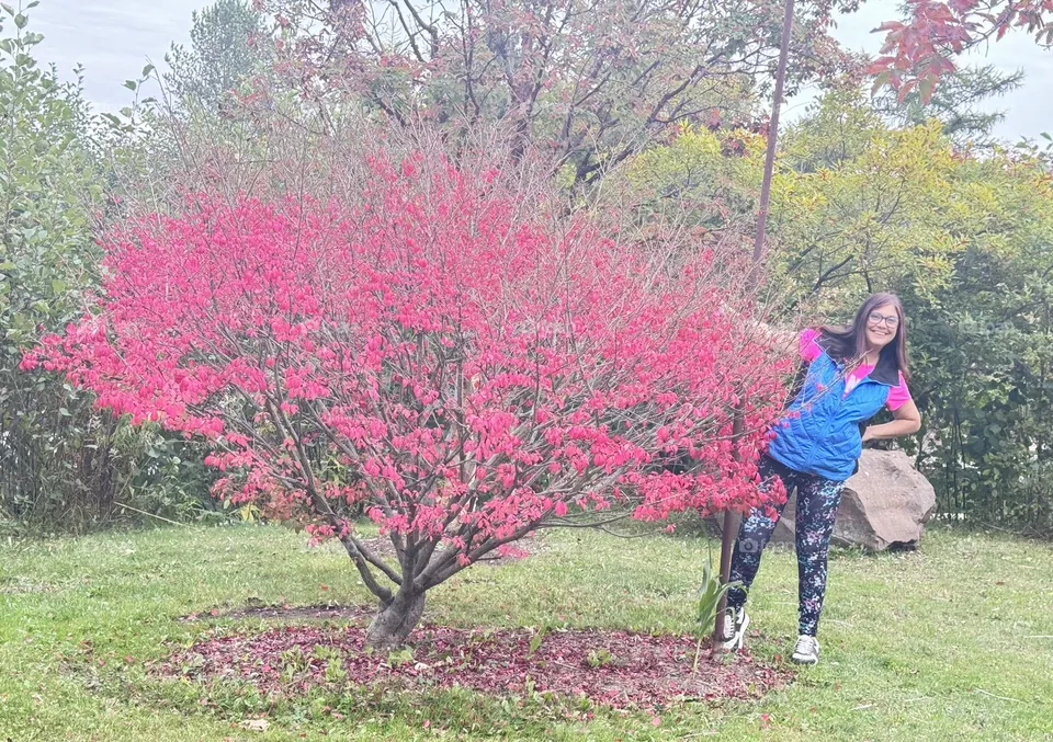 Red bush