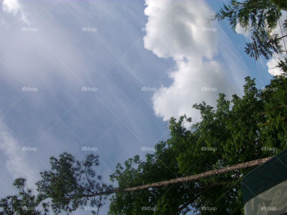 Tree, Sky, Nature, Landscape, Wood