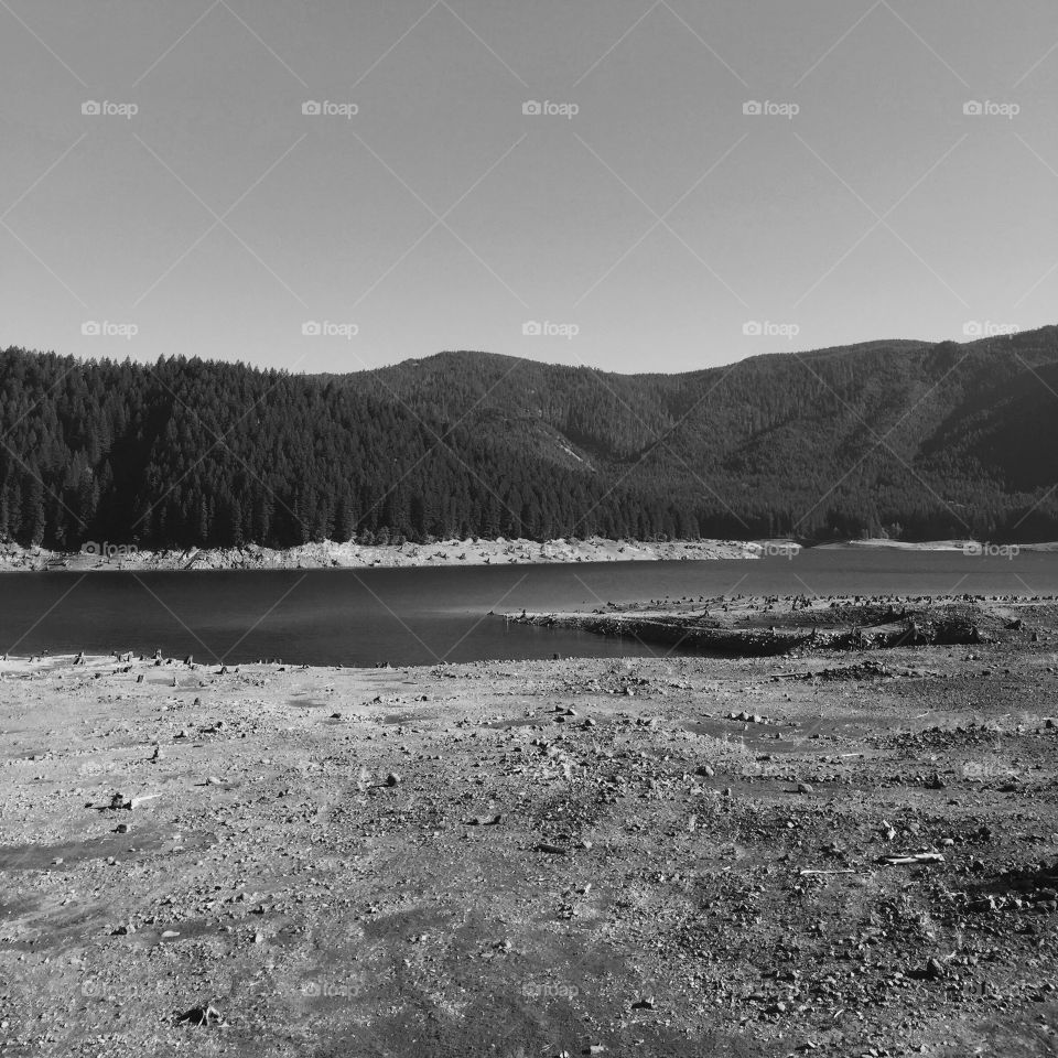 Detroit Lake in the forests of Oregon 