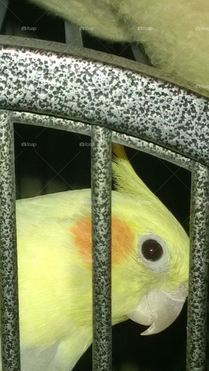 I-spy with my with my beady eye.