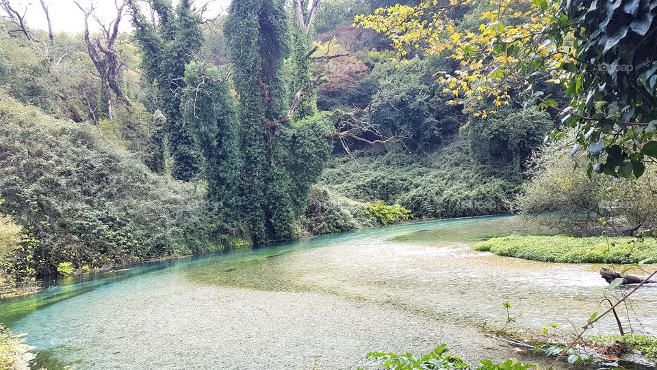 turquoise river in forest