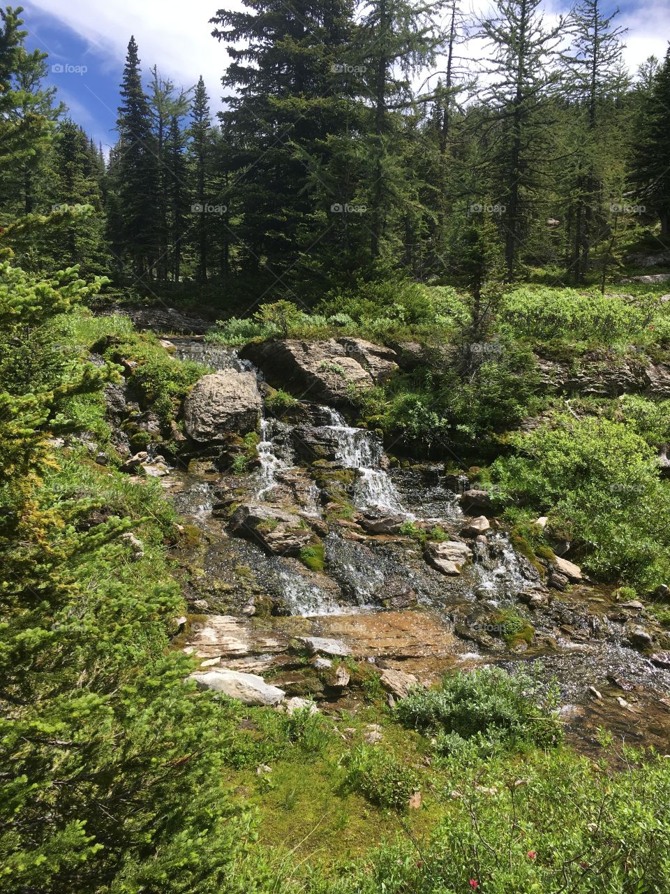 Creek falls