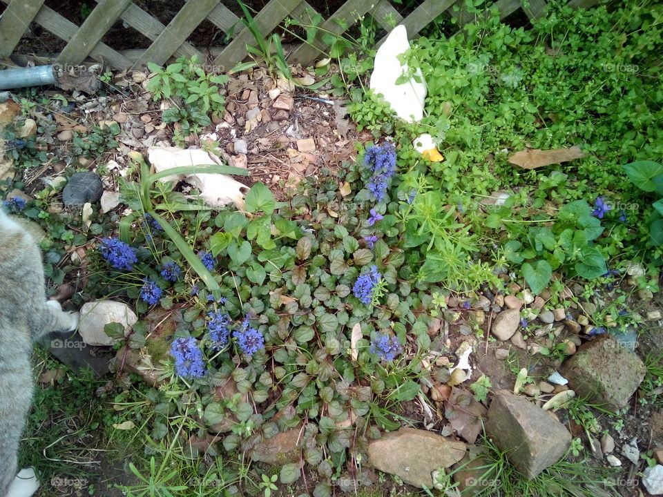 spring is a wonderful time, full of color and hope for all who believe in the wonders.