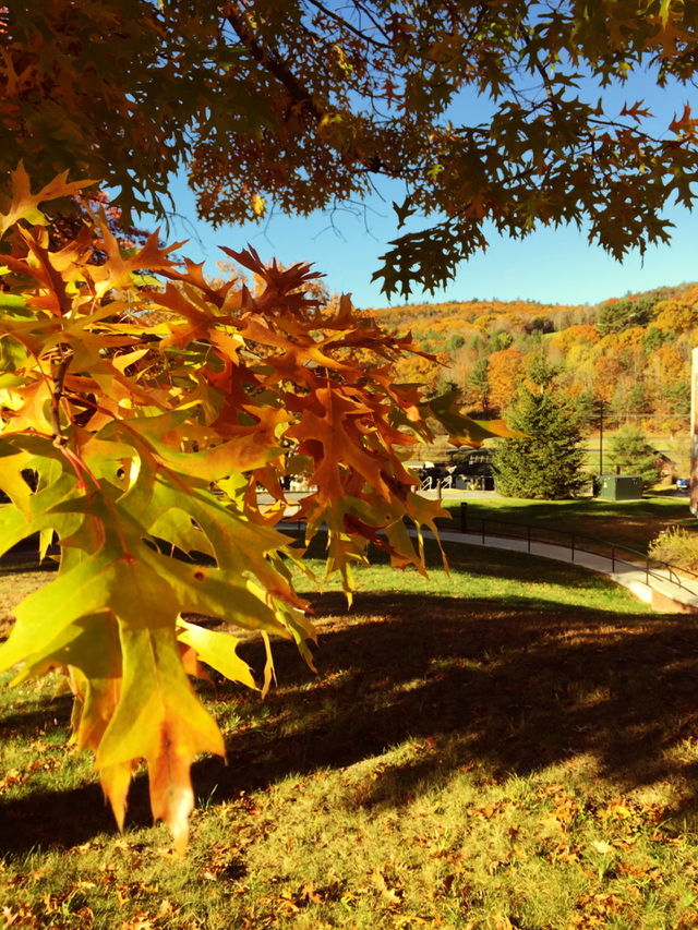Autumn season