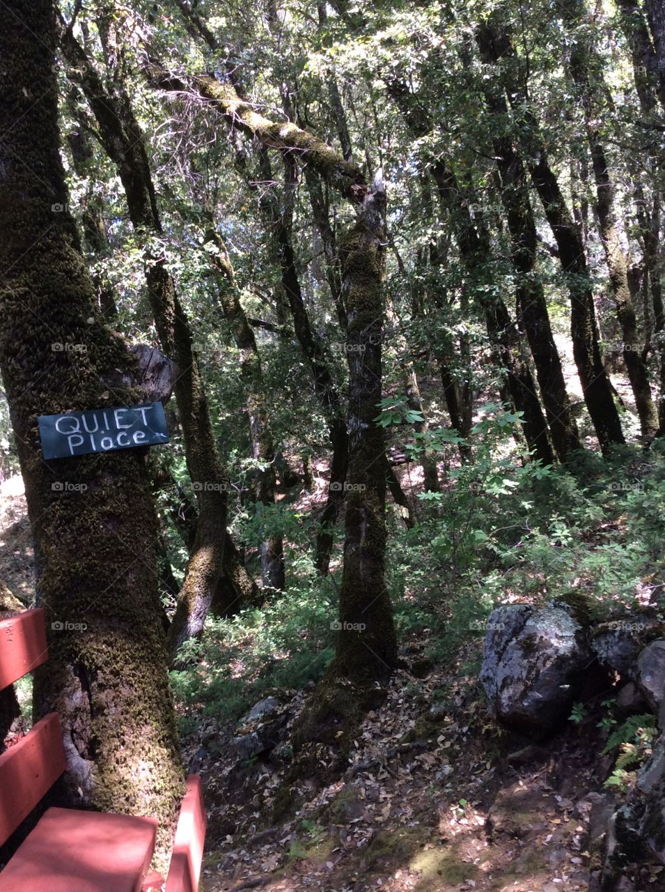 "Quiet Place" in Wilderness. Quiet place sign in wilderness setting