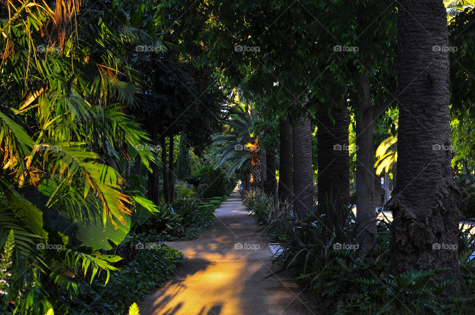 Beautiful park in Malaga city center