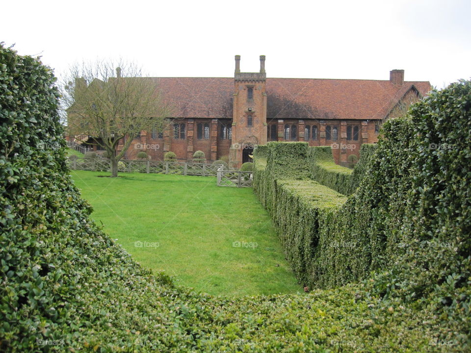 Hedge, Garden, Castle, Architecture, Topiary