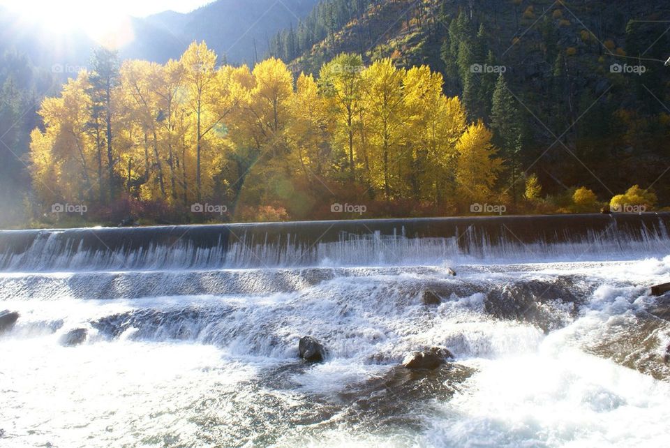 View of a dam in autumn