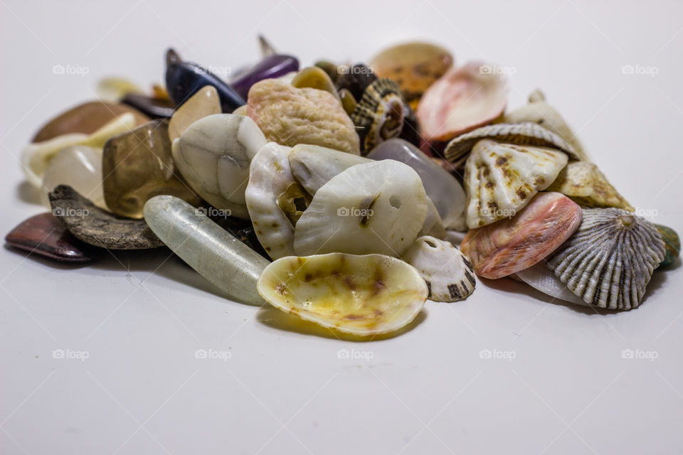 Seashells on a pile