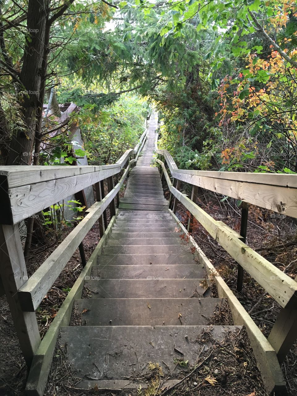 Stairs to the Beach 