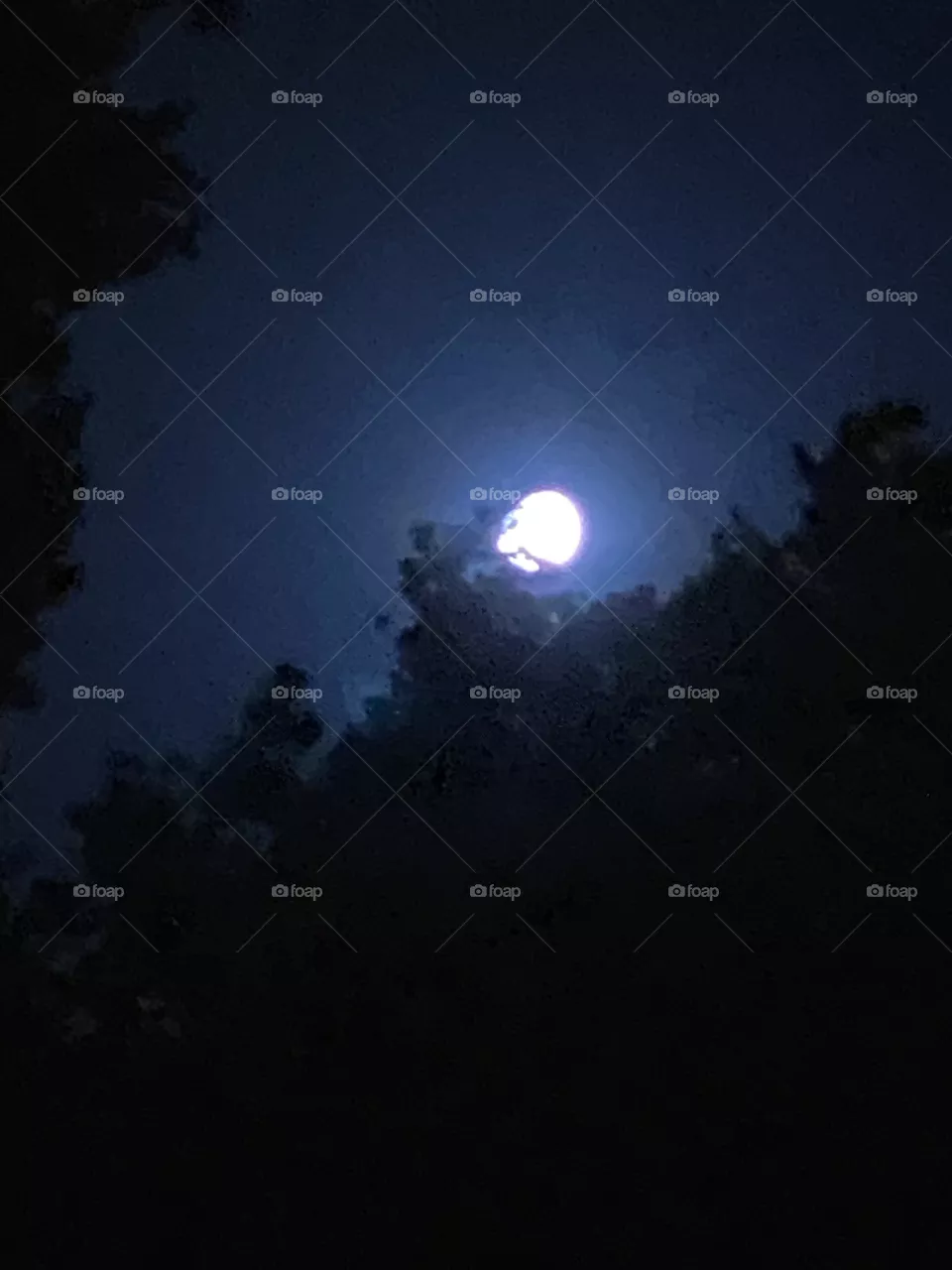 Moon 🌙
