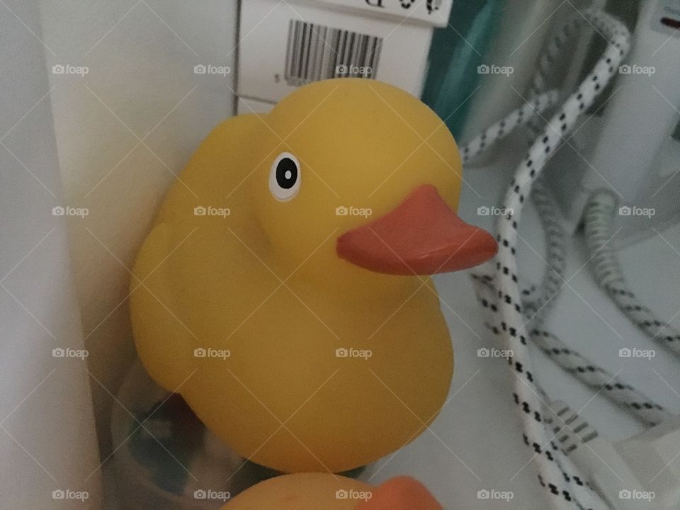 Rubber duck 