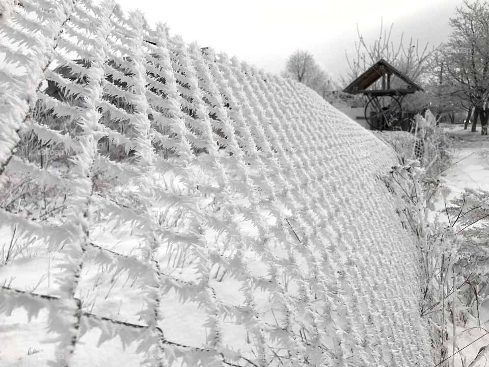 Winter fence