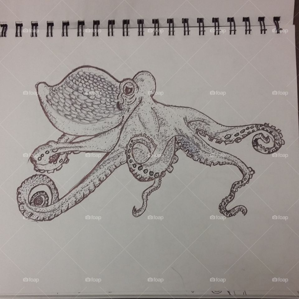 Friendly Octopus drawing 