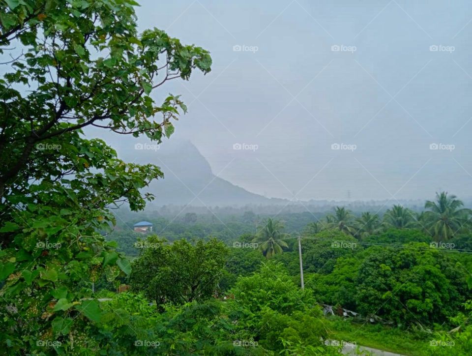 House in the nature photography
