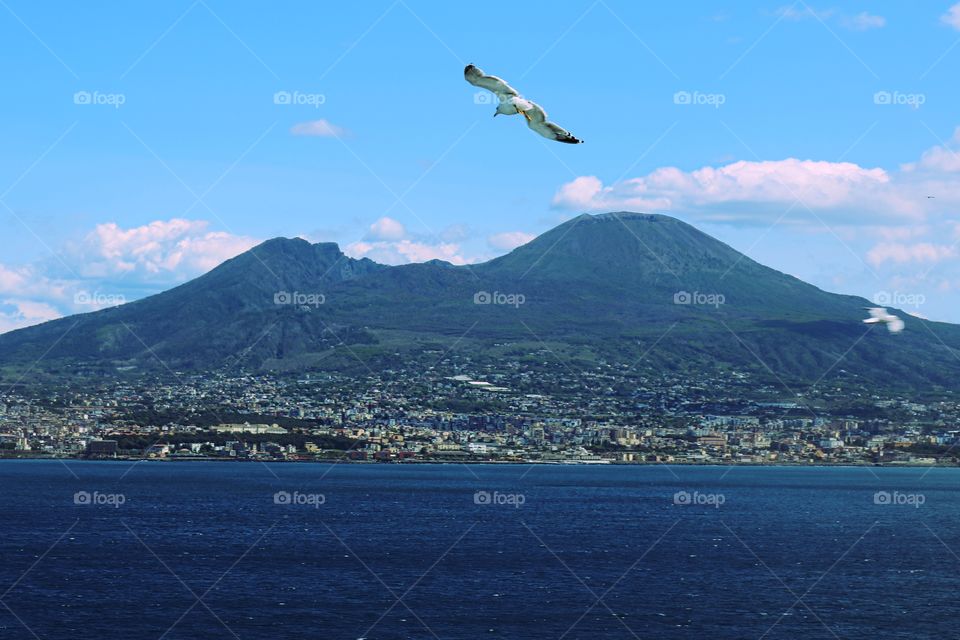 Naples seen from the sea.