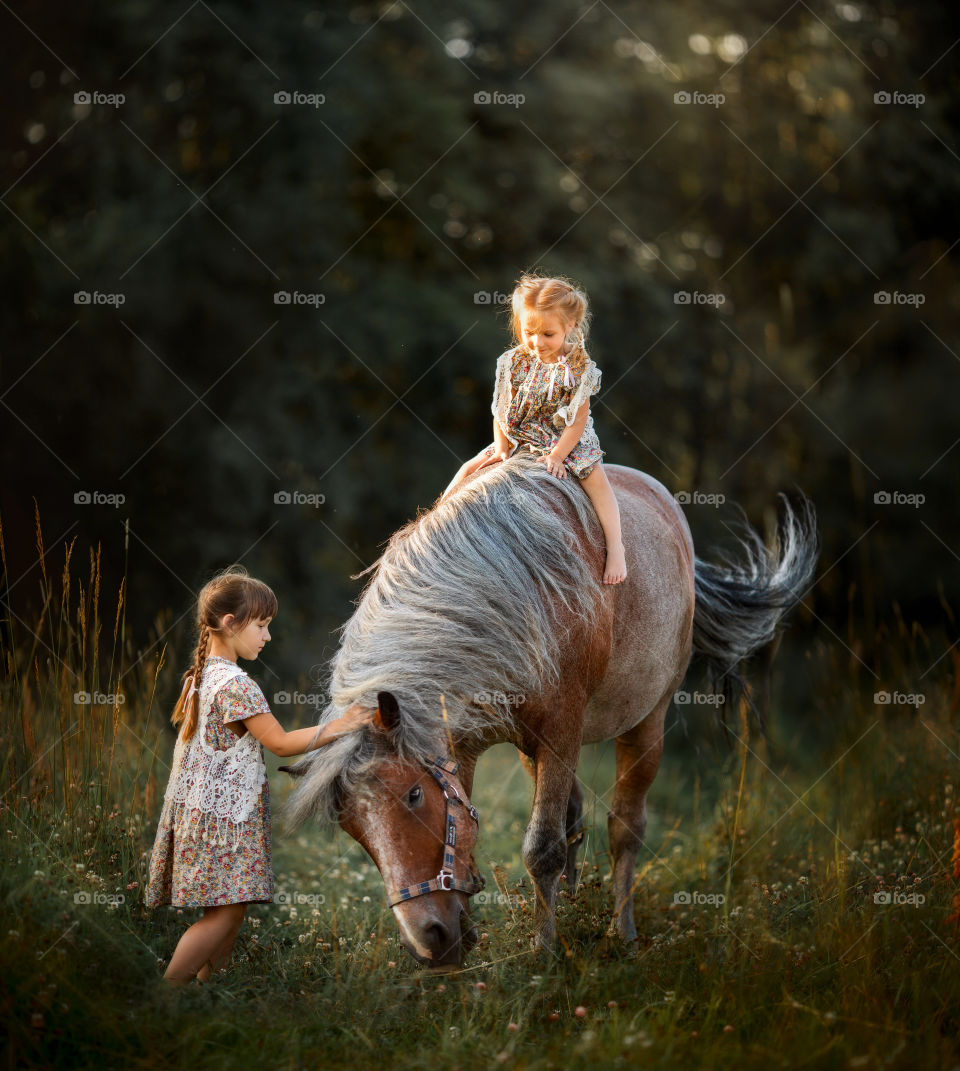 Little sisters on horse at summer evening 