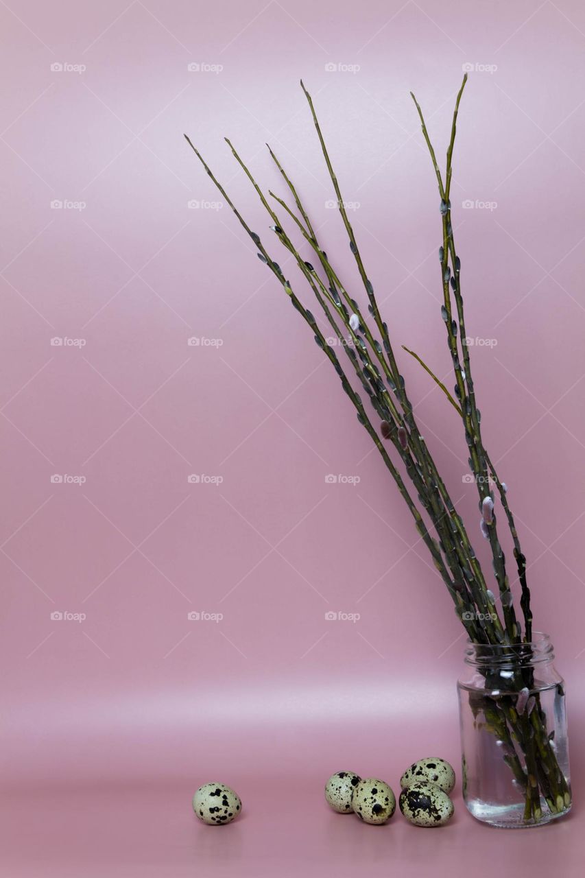 Spring buds bloom on trees.  Spring flowering.