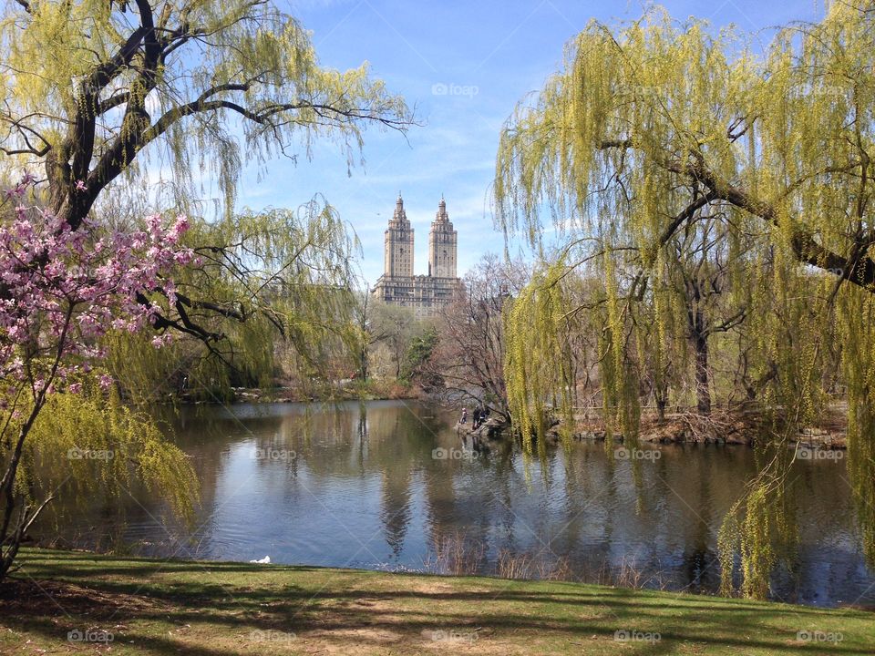 Central Park Lake in Spring. Taken in New York City's Central Park on April 19, 2015, this Lake is the second largest body of water in the Park.  Visible in the center stands The Eldorado, the northernmost of four twin-towered luxury housing cooperatives that face the west side of Central Park.  The Eldorado is located at 300 Central Park West, on the Upper West Side of Manhattan.