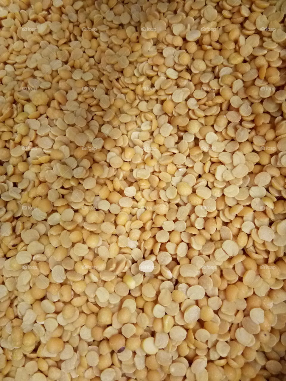 Split Yellow Pigeon Peas (Toor Dal)
