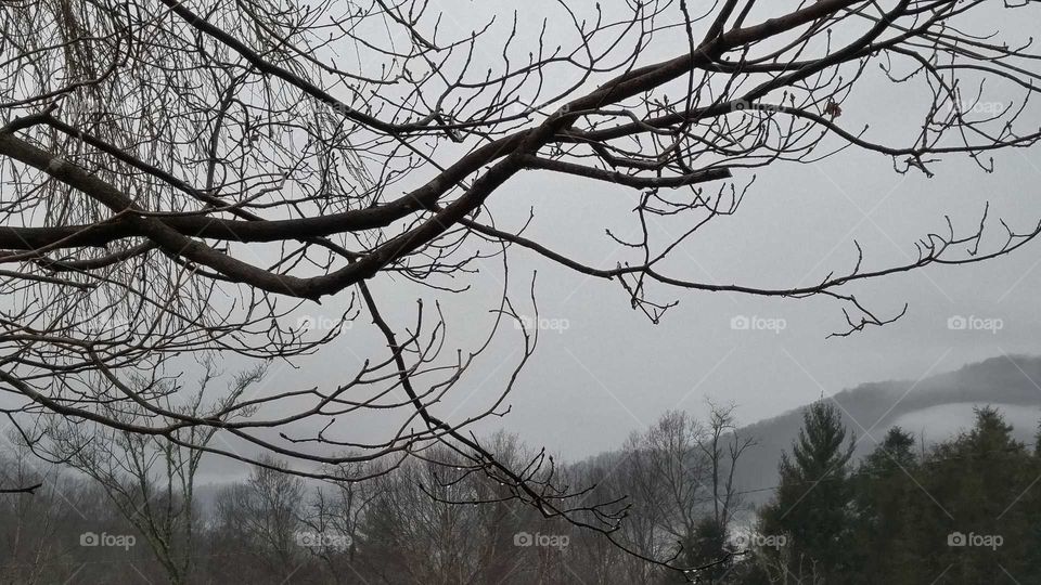 Leafless branches of a tree in the winter with water droplets overlooking grey, bare mountains.