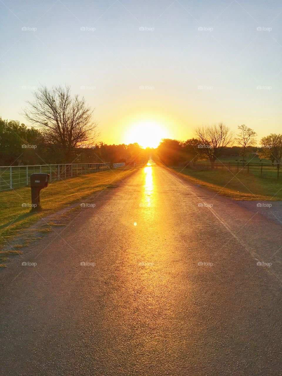 Sunrise on a country road. 